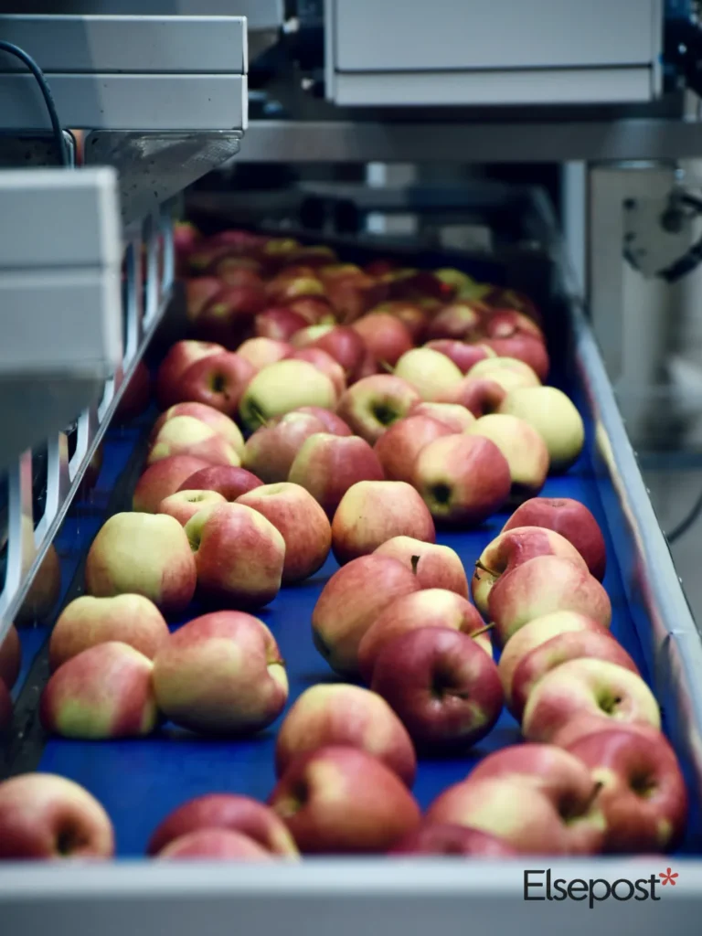 crates of fresh apples for Food Safety Connect