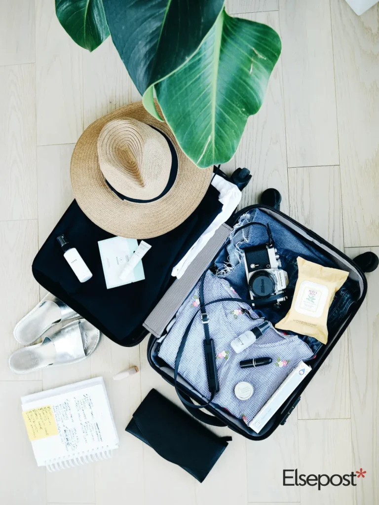 Open suitcase with travel essentials, for passport renewal online