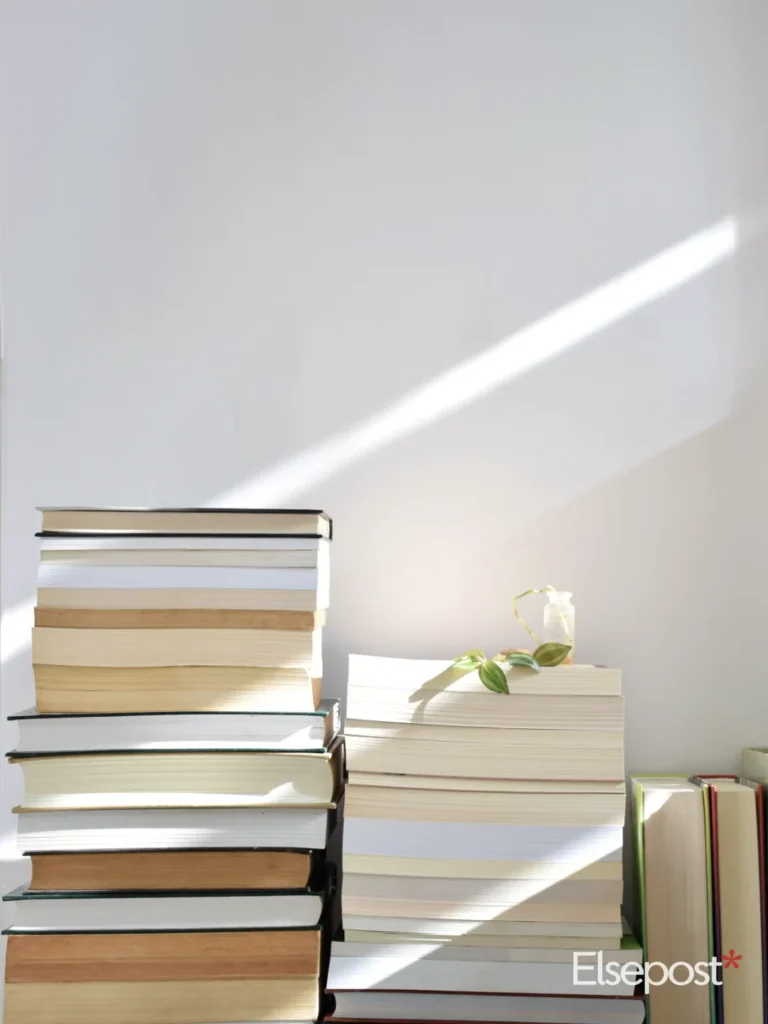 this week in lifestyle: Stacks of books with a small plant on a white surface in sunlight