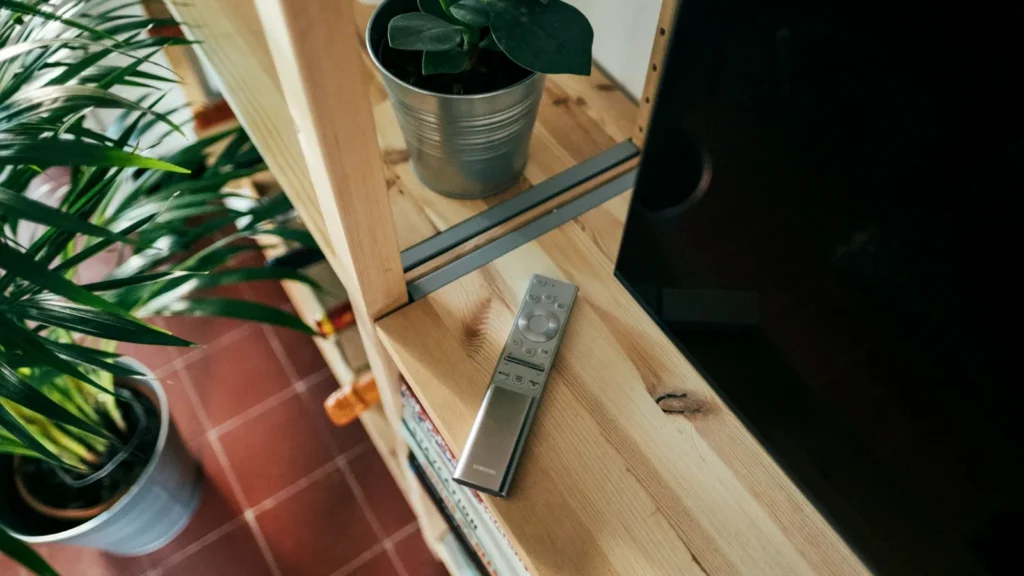 A silver TV remote lying on a light wooden shelf beside potted plants and a television